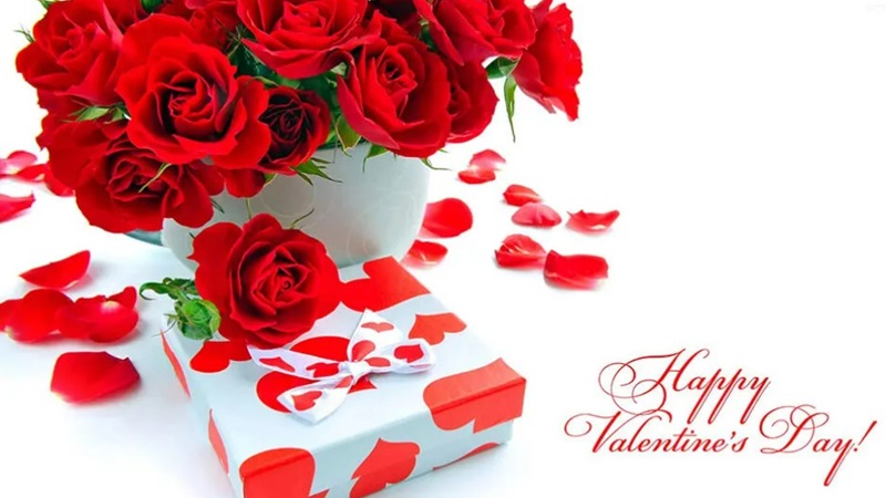 Hình ảnh hoa hồng - Tải ảnh Valentine đẹp nhất